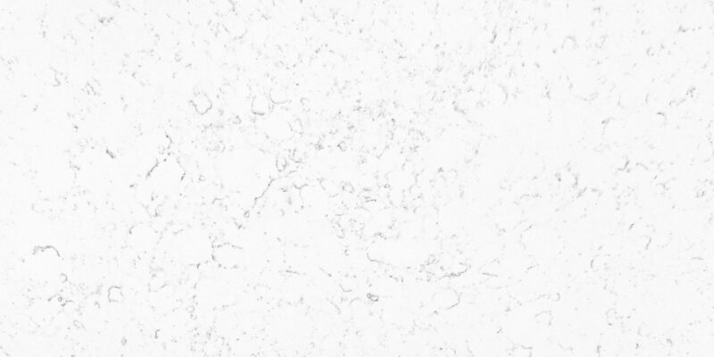 Carrara Cloud