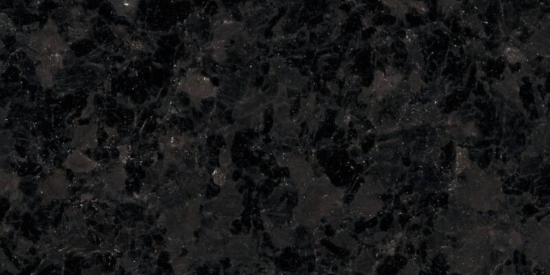 Labrador Black